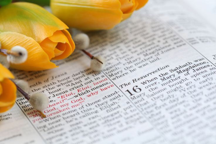 shutterstock_49068418